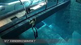 世界最深游泳馆将建成 水深达到45m 也是潜水员的圣地！