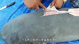 小哥扛回来一条鲨鱼，看他们会如何烹饪？你一手我一手吃的还挺香