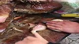 这老板卖的肉夹馍，和平时吃的不一样！这可是真正的老腊肉