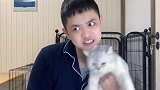 最具欺骗性的狗狗：德牧终于来啦！
