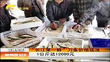 新闻夜总汇-20120324-“长江第一鲜”刀鱼价格猛涨.1公斤达12000元