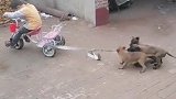 吕布大战三英，孩子就想骑个车，三个过来捣乱