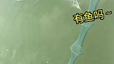一网又一网，鱼在哪呢
