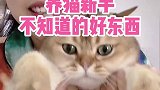 你这么霍霍我，我看你不是个好东西