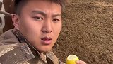 这还真的是一头犟牛啊