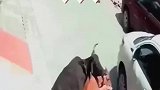 这真是最倒霉的牛