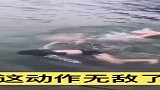 水中蛤蟆功，完虐欧阳锋，这才是蛙泳的精髓之处