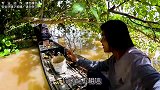 用水果做诱饵，几十斤一条的大鱼抓到手软，太厉害了