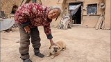 老奶奶认为狗狗是老伴化身也只是自我慰藉，但是这只小狗如今成了她生命中的精神寄托！快去圈住它 锅圈食汇总部
