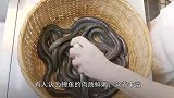 一盘活鳗鱼被倒入烤盘中，犹如酷刑，死状惨烈