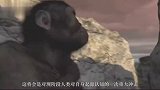 古猿为何选择直立行走德国一具猿类化石出土，或许这就是答案