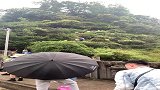 暴雨把前面桥冲垮了，只能爬山回酒店了！