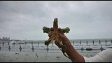 青岛海域风浪大 海星蛏子海肠八带等虾兵蟹将上岸了 青岛