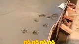 狗子：放开我，这回我知道错了！