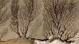 钱塘江大潮灌溉过后，大地上形成一棵棵参天大树