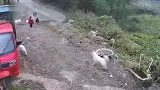 3岁女童遭野狗群撕咬拖拽，撕心裂肺哭喊全身多处裂伤，现场画面