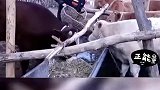 农夫在沙漠边开快递站，努力的人最美