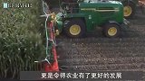 大爷发明自动“犁地机”，成本不到100块，一天轻松犁4亩地