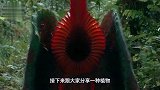 世界上最可怕的树，可以吃掉一整头羊！捕食方式看得心惊