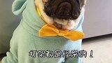 谁在家里是老大心里没数吗