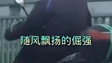 这个长毛黄太嘚瑟了！