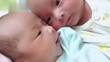 龙凤胎在说什么悄悄话看哥哥小嘴找妹妹反应，简直萌翻了
