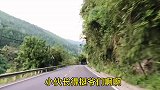 一定要看到最后