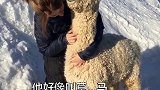来一个拥抱