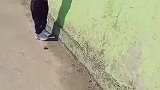 钓鱼的和不钓鱼的都沉默了！