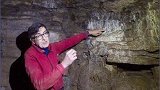 古生物学家：这是远古生物“大地懒”挖的，因为人类目前未发现13000年前存在的明文？劲享好春光 中国劲酒