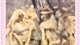 这样做的蘑菇比肉还好吃