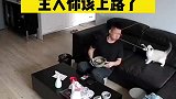 这猫在警告我。吃完这顿饭主人就该上路了