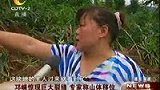 邛崃山体出现巨大裂缝 专家称山体移位-8月7日