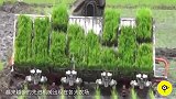 地表最强农耕神器, 全自动化作业, 分分钟收割几万亩地!