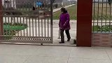 狗狗偷溜出门，奶奶很生气后果很严重