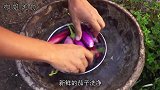 看了印度小哥做茄子，从未见过的独特做法，真是长见识了！