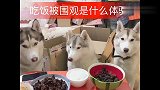 吃饭被围观是种什么体验