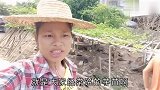 夫妻俩最爱的一道美食居然是长在田间的水沟里，大家知道这是什么