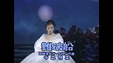 中森明菜《难破船》中日双语字幕