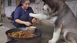 23岁姑娘跟160斤巨型犬隐居大山，过着无忧无虑的生活