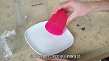 苍蝇可以举起多大的重量？