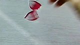 笔在大师的手下，花一会就成形了。真是太漂亮了！