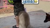 妈呀，只要我躲起来就找不到我了吧