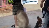 妈呀，只要我躲起来就找不到我了吧