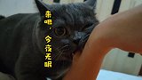 小猫咪来吧，今夜无眠