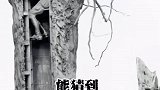 一战时期的特殊产物，远看只是一棵枯死的老树，其实有大作用