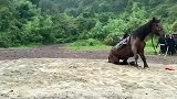 心疼马那，还是心疼人