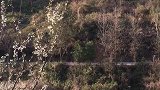 陶渊明先生在家吗？