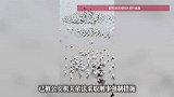 鄱阳湖流域疑有人毒害候鸟？官方通报