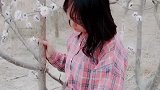 红杏每年开，春是别花来